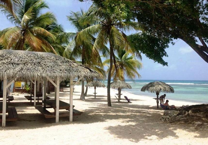 Le Ti'Paradise Anse Des Rochers Belle-Allee Exterior photo