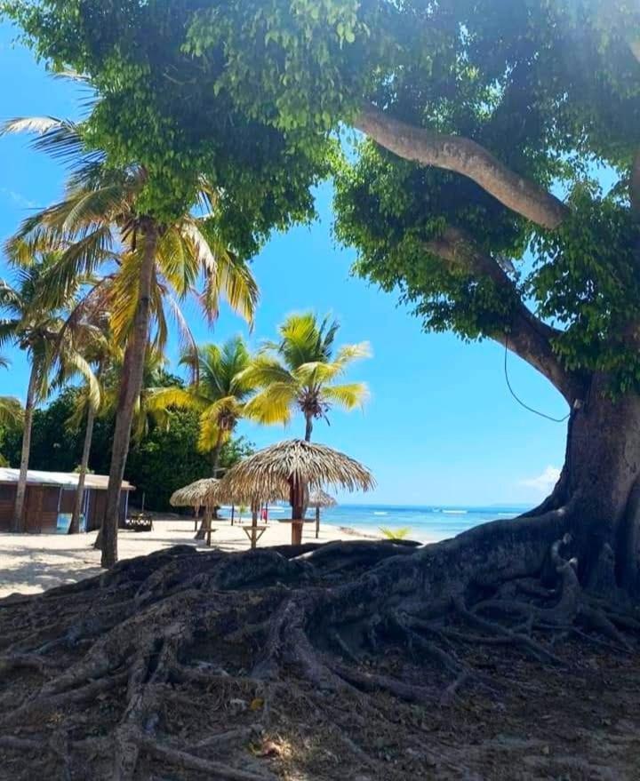 Le Ti'Paradise Anse Des Rochers Belle-Allee Exterior photo